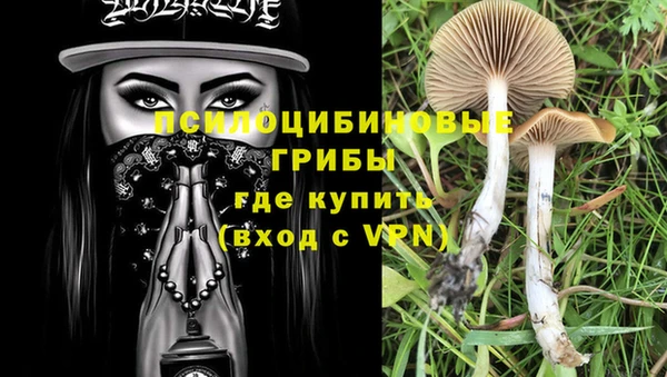 скорость Карталы