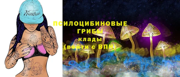 соль курить ск Каменка