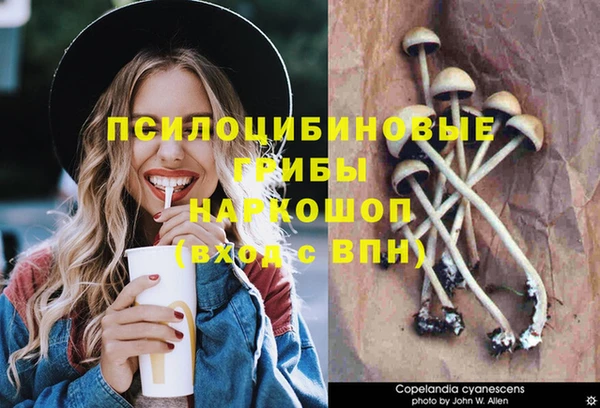 гидра Каменск-Шахтинский