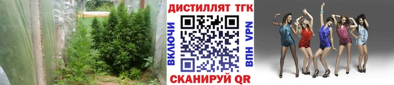 Дистиллят ТГК вейп с тгк  Купить закладки  Анапа 